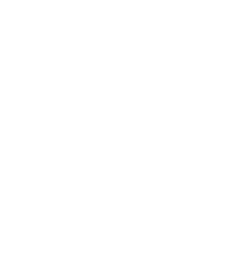 automotive logo